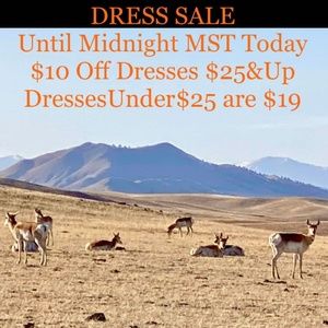 FOR WED APR 27TH | MANY NEW WITH TAG ~ BETTER BRAND DRESSES & SKIRTS